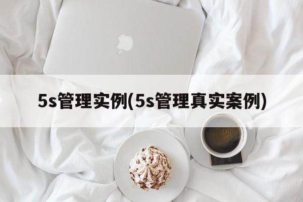 5s管理实例(5s管理真实案例)